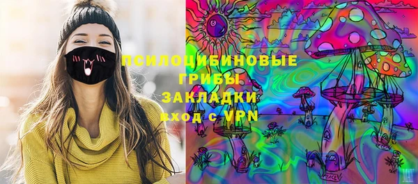 дживик Аркадак