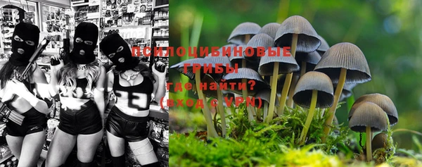 mdma Кодинск