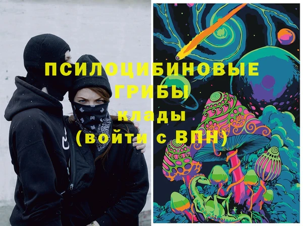ГАЛЛЮЦИНОГЕННЫЕ ГРИБЫ Балахна