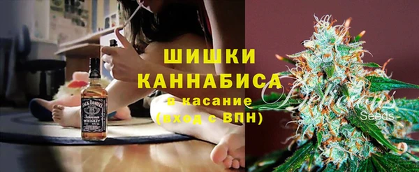 дживик Аркадак