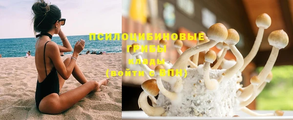 скорость Козловка